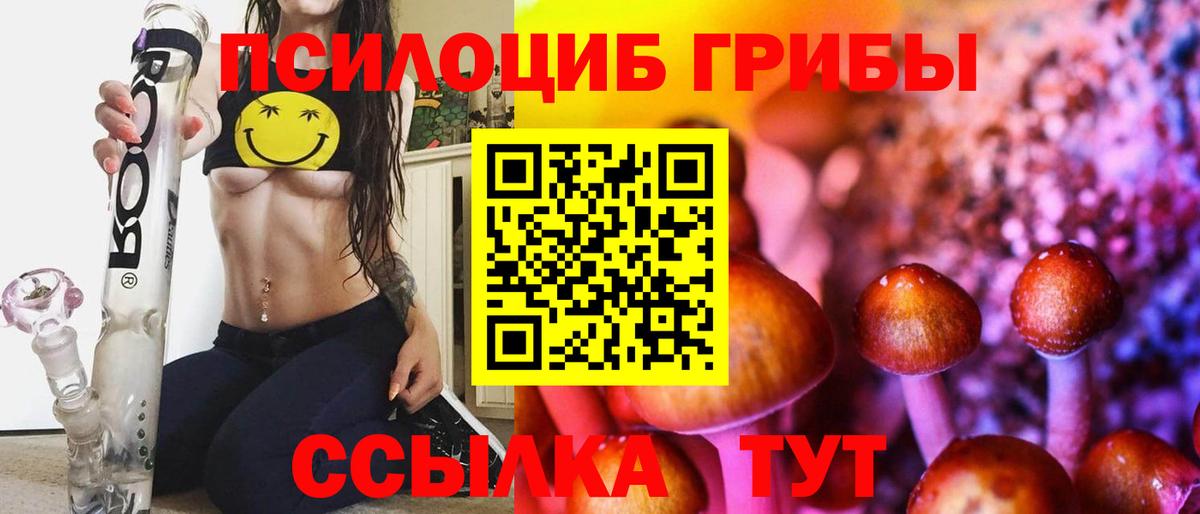 Псилоцибиновые грибы Cubensis Рыбинск